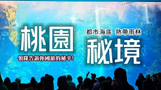 遊覽車玩桃園❗全台唯一雨林飯店探險｜超震撼之美❗超巨大透明玻璃水族箱｜領隊訴說旅遊業秘辛⚠️直擊恐怖司領房｜石門水庫坐船看酋長石｜偶像劇景點薑母島｜參觀32公尺巨大棒球建築｜桃園❌國旅｜TAIWAN｜ [upl. by Melisse]