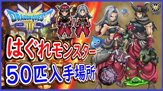 DQ3 HD2D版 はぐれモンスター50匹の入手場所！魔物使い最強特技ビーストモード入手！ドラクエ3リメイク 攻略【メイルス】 [upl. by Ohploda]