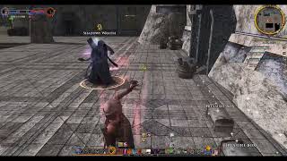 Lotro legendary server 64b Red Loremaster SSF Pt 5 [upl. by Aedni]