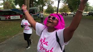 Sista Strut Louisville 2017 [upl. by Shaia]