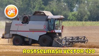 Harvest 2024  Rostselmash Vector 420 combine harvester [upl. by Bert]