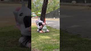 Broma😱lamodelo💃y el unicornio 😂😂 funny comedy youtube shorts humor [upl. by Idalia]