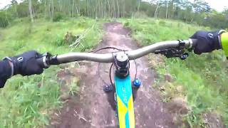 bambooland bike park polygon entiat 275 plus [upl. by Revkah]