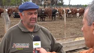 Ganaderia Engorde a Corral zona General Capdevila Chaco Ing Agr Eduardo Fernandez 1 [upl. by Pontias926]