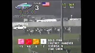 2001 Meadowlands CHIP AND GALE A George Brennan [upl. by Ardel]