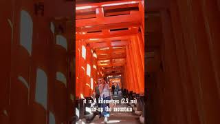 Exploring Fushimi Inaritaisha Kyoto’s Iconic Shrine amp Torii Gates [upl. by Aynat]