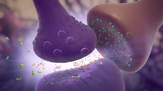 Glutamate Modulation  MOA Animation [upl. by Piegari756]