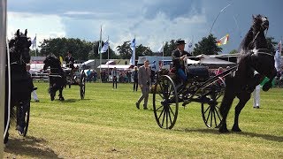 Concours Hippique Drogeham 2017  Sfeerimpressie [upl. by Rozele827]