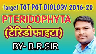 Pteridophyta  tgt pgt biology  Best material for tgt pgt biology  pteridophyta full lecture [upl. by Amorete]