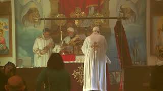 St Philopater amp St Mina Coptic Orthodox Church Live Stream [upl. by Nnoryt]