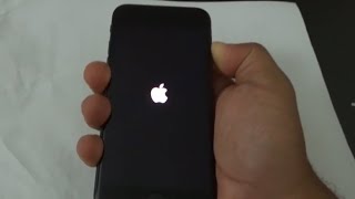 HOW TO HARD RESET IPHONE 7788Xs [upl. by Naamana140]