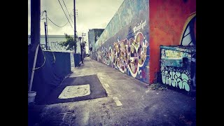 Miami Hoods  Wynwood Overtown Little Haïti Liberty City [upl. by Eisac404]