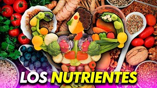 Los NUTRIENTES ¿Sabías que una ALIMENTACIÓN EQUILIBRADA puede CAMBIAR TU VIDA por completo ADELGAZA [upl. by Yntrok]