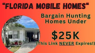 Hunting Cheap Florida Mobile Homes for Sale With LOW Lot Rents Four Star 92723 [upl. by Mika]