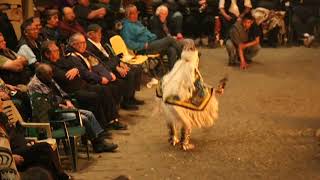 Chief Galasta̱wikw Memorial Potlatch  Marco Isaac Peace dance [upl. by Wren712]