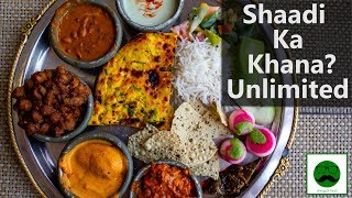 UNLIMITED Food Shaadi Jaisa in Delhi Buffet Veg Food in Hindi [upl. by Carberry]