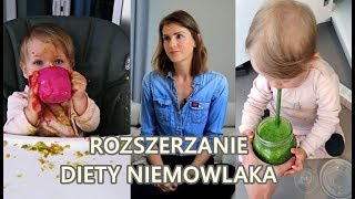 Rozszerzanie Diety Niemowlaka  Co Daję Swojemu Dziecku [upl. by Anaik]