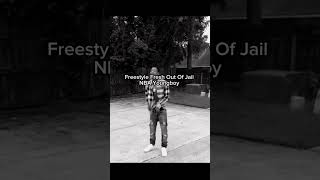 Freestyle Fresh Out Of Jail NBA Youngboynbayoungboy freeyb [upl. by Bohi445]