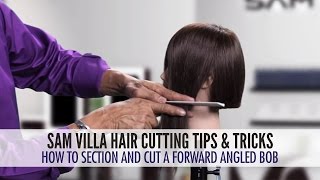 How To Section And Cut a Forward Angled Bob [upl. by Ahsinauq]