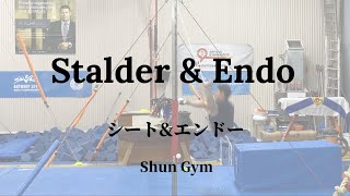 Stalder amp Endo Break down amp Useful drills compilation [upl. by Nida]