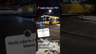 Linia k Bykowina Grzegorzka – Solaris Urbino 12 IV 447 Transport Pawelec bus [upl. by Olpe898]