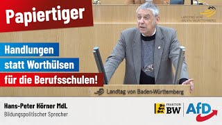 Ein wertloser Papiertiger Wir fordern Handlungen statt Worthülsen für die Berufsschulen [upl. by Eojyllib]