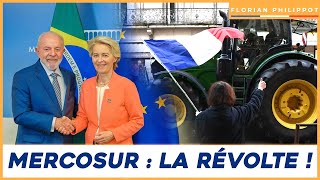 Mercosur  Ursula Von der Leyen fait son coup d’État [upl. by Urbannal525]