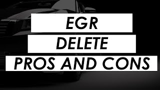 Pros and Cons of EGR Deletion [upl. by Geehan7]