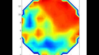 Bacterial growth on solid media [upl. by Gnaoh]