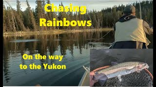 Chasing Rainbows North Looking For Trout on the Way to the Yukon [upl. by Sidonie]