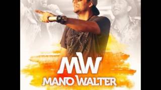 Mano Walter  CD PROMOCIONAL  VERÃO 2016  11 Musicas Novas [upl. by Arreyt]