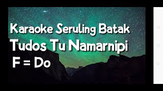 Tudos Tu Namarnipi  Versi karaoke seruling batak kunci FDo [upl. by Alisa779]