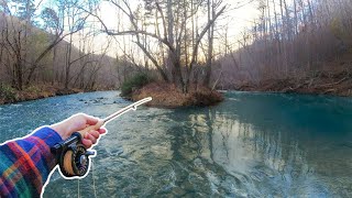 Winter Fly Fishing in NC for BIG Trout NC Trout Fishing [upl. by Collyer447]