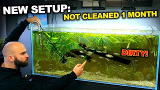 I Didnt Clean This Fish Tank For A Month From Creation [upl. by Eatnuhs668]