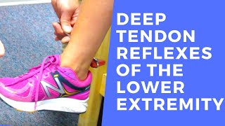 Deep Tendon Reflexes of the Lower Extremities [upl. by Bathsheb]