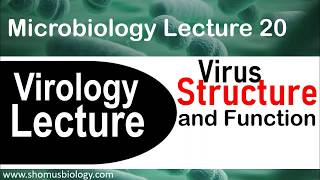 Virology lecture 1  Virus structure and classification [upl. by Prowel]