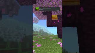 Make your MCPE more saturated I recommended this shader to use minecraft mcpe mcpeshaders [upl. by Ateuqahs]