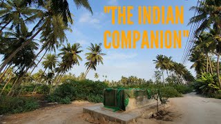 THE KING OF INDIA WHO CONVERTED TO ISLAM  quotThe Indian Companionquot from Kerala [upl. by Nnayelsel]