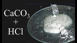 Reaction of CaCO3  HCl Calcium carbonate plus Hydrochloric acid [upl. by Anoit]