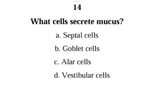 Understand the NOSE and PHARYNX with these 30 MCQS and answers  Respiratory system [upl. by Azpurua]