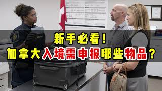 新手必看！加拿大入境哪些物品必须申报？ 个人物品申报免税额度 [upl. by Uaeb]