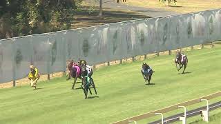 Capalaba15102023Race11 [upl. by Barimah]