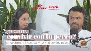 ¿Te cuesta convivir con tu perro Descubre la causa y la solución real [upl. by Procora63]