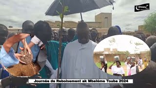 Journeée de Reboisement ak Mbaléme Touba 04 aout 2024 1 [upl. by Irvine]