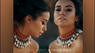 Tuğba YurtİNCEDEN İNCEDEN Lyrics Video [upl. by Sauer]