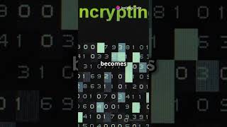 Build a Simple Encryption amp Decryption System with Caesar Cipher 🔐  Coding Challenge coding [upl. by Ohnuj922]