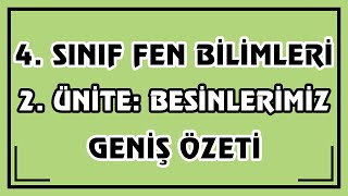 4Sınıf Fen Bilimleri 2 Ünite  Besinlerimiz Geniş Özeti  Canlı Ve Ayrıntılı Anlatım [upl. by Aihsemek]