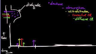 10Minute Rounds Peritoneal Dialysis Flows and Rates [upl. by Docia]