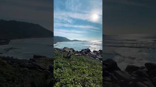 Sem dúvida a Praia da Galheta é o lugar mais lindo que já estive praiadagalheta florianopolis [upl. by Eibreh921]