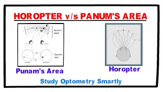 Horopter Vs Panums Fusional Area [upl. by Yssirk]